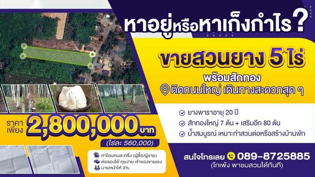 ขายที่ดินสวนยาง ติดถนน ไสใหญ่- ที่วัง อำเภอทุ่งสง จังหวัดนครศรีธรรมราช เนื้อที่ 5 ไร่