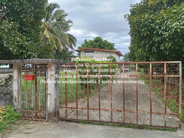 บ้าน ขายบ้านปูนกึ่งไม้ 2 ชั้น 5 น 3 น้ำ (ทรงคลาสสิค) พร้อมพื้นที่สวน 351 ตร.ว. @ตลาดท่าศาลา จ.นครศรีธรรมราช 0 ไร่ 3 งาน 51 SQ.WA 5500000 BAHT ใกล้กับ ตลาดสดนับอนุสรณ์ เดินทางสะดวก